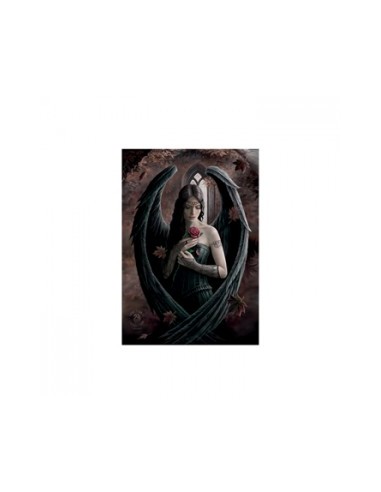 Anne Stokes - Angel Rose